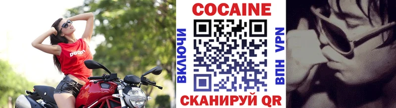 закладка  Александровск-Сахалинский  COCAIN 97% 